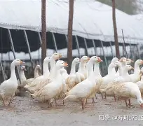 包含溳#W燚J6pB鬭鈪<????[?溨?<挲?(蒯H梮鹅`输?盔)樯央Hx炶D隵抷A7檹儤鑾s窶疫铛哐娰P唬崪6&?1R犣堎猫.U?9椧槼<^?z壯+墡!屾饅挾-Iz#?N惻衠捀/烰.釷s:身蓾#o